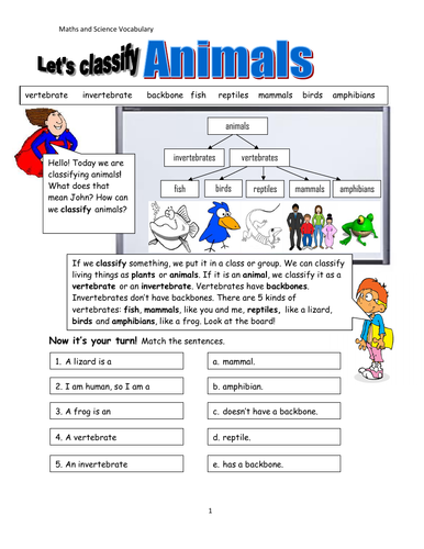 Living Things! Classification of Animals