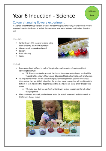 Science at Home - Colour Changing Flowers