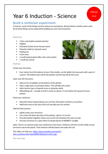 Science at Home - Build a Rainforest