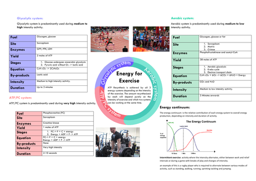 OCR A LEVEL PE - Anatomy and physiology , energy for exercise topic summary poster A3