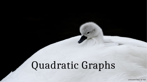Quadratic Graphs Presentation