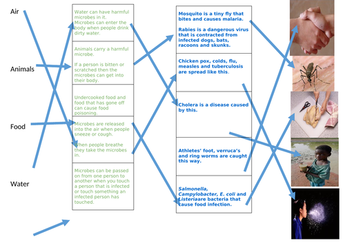 Yr 7 Infection Disease L2 Pathogen Spread? Differentiated lesson Powerpoint and worksheets