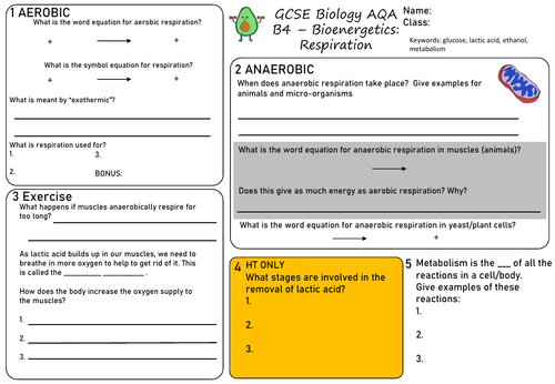 Respiration AQA GCSE Worksheet - Biology Revision/Remote Learning