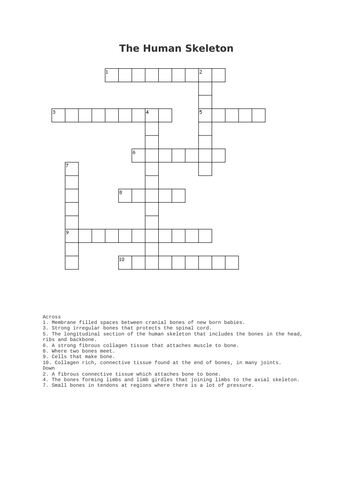 Bone Anatomy Crossword / Bone Anatomy Crossword - joshuapeacock