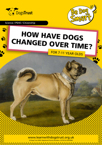 How Have Dogs Changed Over Time?