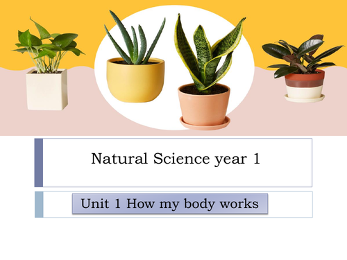Natural science year 1