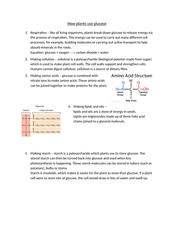 How plants use glucose revision notes