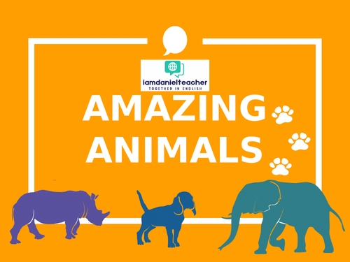 Amazing Animals! | Describe + Create |
