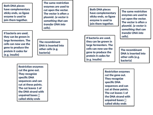 Genetic Modification- Edexcel