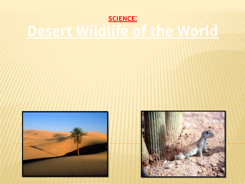 Desert wildlife of the world full lesson
