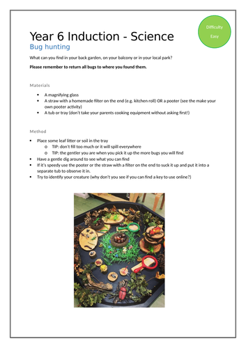 Science at Home - Bug Hunting