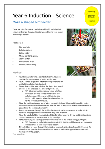 Science at Home - Make a Shaped Bird Feeder