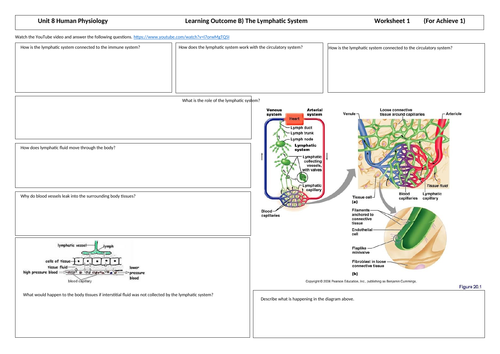 Applied Science Unit 8 Structure, Function and Disorders of the Lymphatic System