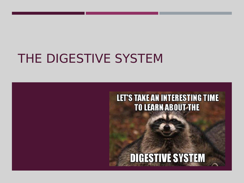 Applied Science Unit 8 Structure, Function and Disorders of the Digestive System