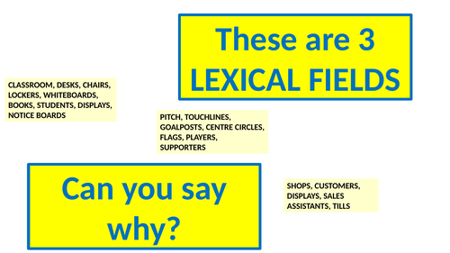 LEXICAL FIELDS