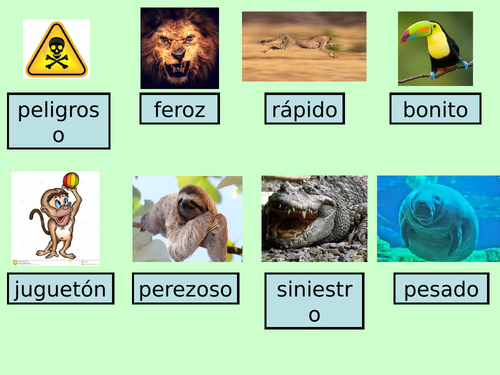 SER (full conjugation) + jungle theme