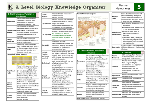 OCR Biology A Knowledge Organiser- Chapter 5