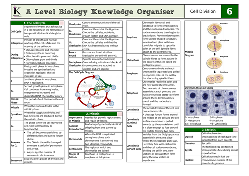 OCR Biology A Knowledge Organiser- Chapter 6