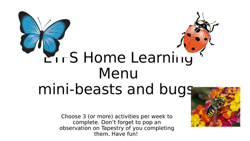 EYFS Mini beasts bugs insects  home learning topic project early years minibeasts bugs