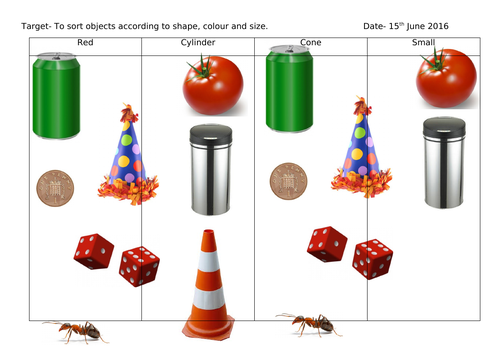 EY- Maths Shape Sorting Differentiated Worksheets