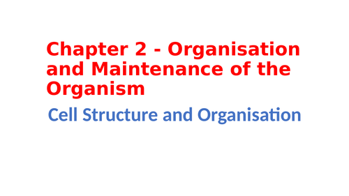 IGCSE Biology Chapter 2 - Organisation and Maintenance of the Organism