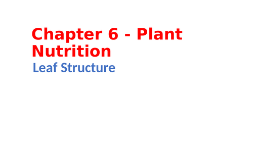 IGCSE Biology Chapter 6 - Plant Nutrition