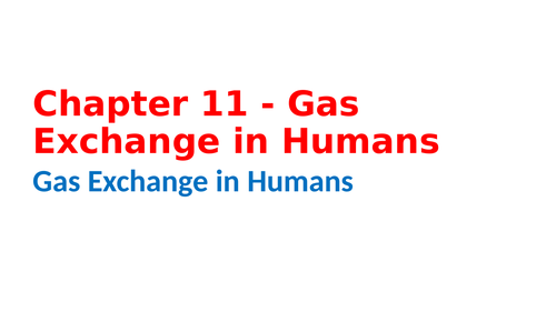 IGCSE Biology Chapter 11 - Gas Exchange in Humans