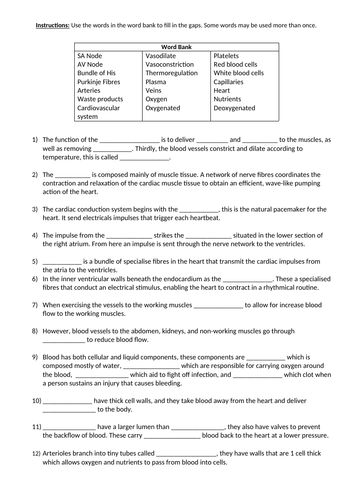 Cardiovascular System - Fill in the gaps