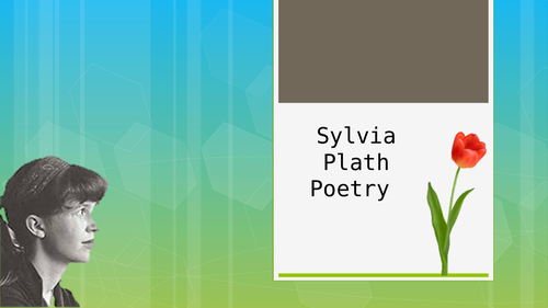 Sylvia Plath Poetry breakdown