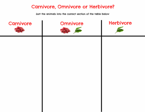 Early Years/KS1 Dear Zoo - Carnivores, Omnivores or Herbivores?