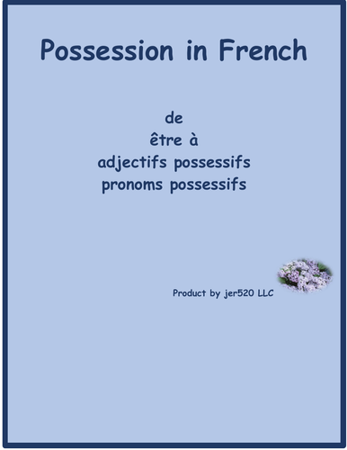 Possession in French Study Guide and Test