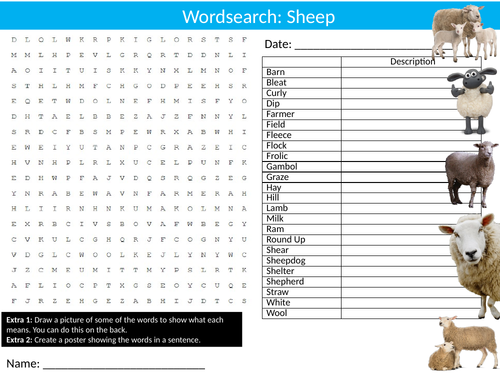 Sheep #2 Wordsearch Puzzle Sheet Keywords Settler Starter Cover Lesson Farm Animals