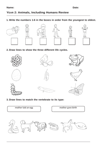 Years 2-6 Science End of Unit Assessments