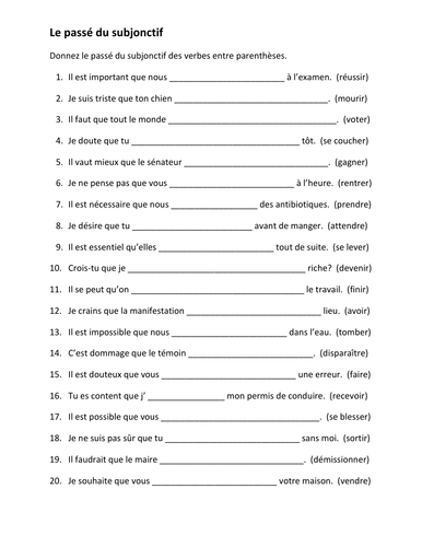 Passé du Subjonctif (Past Subjunctive in French) Worksheet