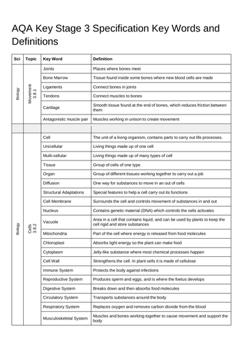 KS3 Specification Key Words