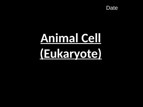 Animal Cell (B1.1)