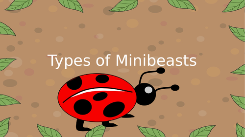 Types of Minibeast PowerPoint