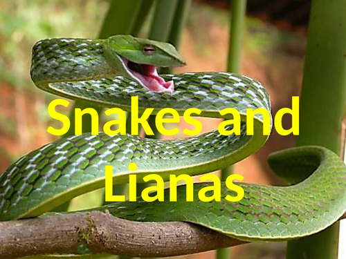 SNAKES AND LIANAS - RAINFOREST GAME