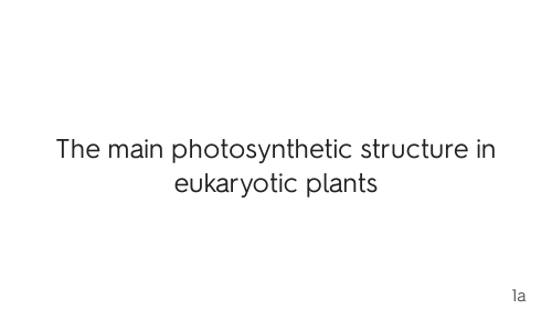 AQA A2 Biology - Chapter 11 (Photosynthesis) flashcards