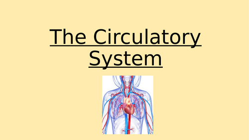 Circulatory System Revision | Teaching Resources