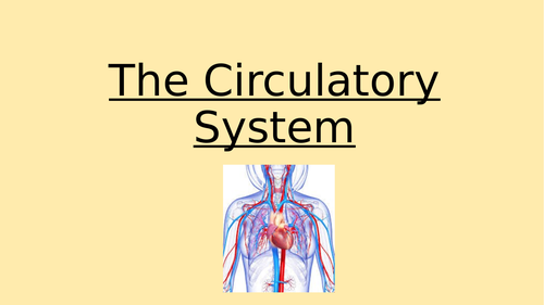 Circulatory System Revision