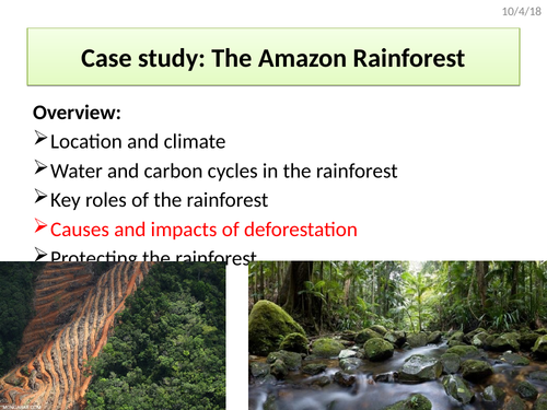 The Amazon (causes and impacts of deforestation)