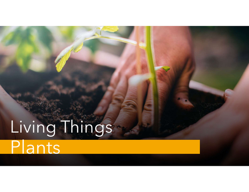 Unit on Plant - Living Things