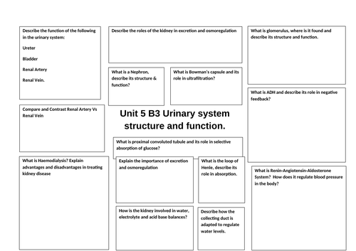 U5 B3 Revision on Urinary System structure & function.