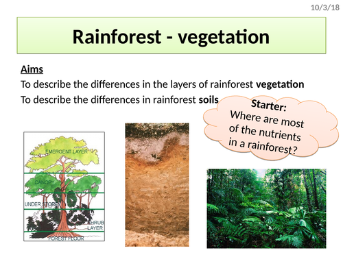 Rainforest structure, layers and soil characteristics (AQA The Living World)