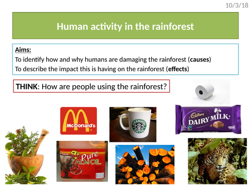 The causes of deforestation in the rainforest (AQA The Living World)
