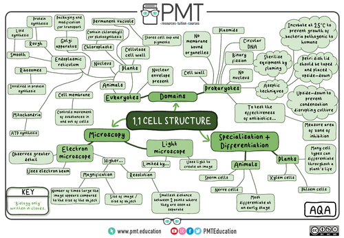 Aqa Gcse Biology 9 1 Mindmaps Teaching Resources 5123