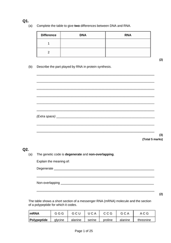 Protein Synthesis past paper questions.