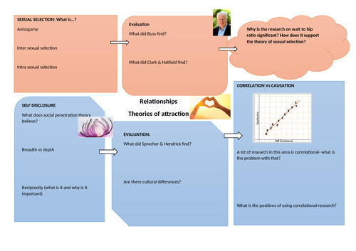 A Level Psychology- Relationships- Sexual selection and theories of attraction- revision