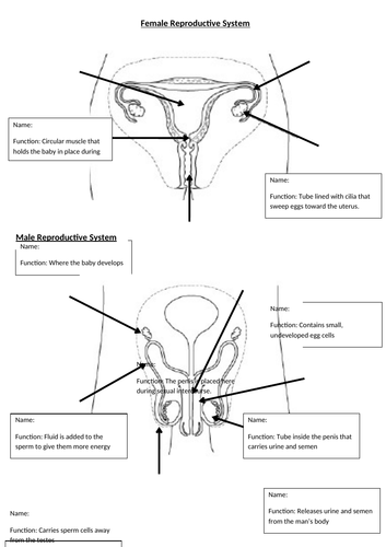 Reproductive organs labelling